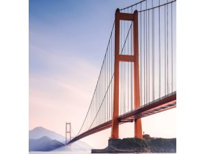 FOTOMURAL XIHOU BRIDGE 862