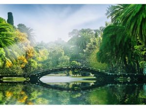 FOTOMURAL BRIDGE IN THE SUNLIGHT 132