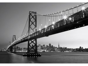 FOTOMURAL SAN FRANCISCO SKYLINE 134