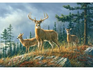 FOTOMURAL AUTUMN WHITETAILS 151