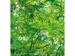 FOTOMURAL BAMBOO 372