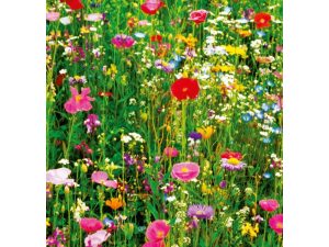 FOTOMURAL FLOWER FIELD 375