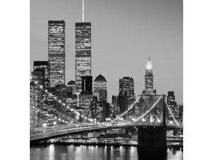 FOTOMURAL MANHATTAN SKYLINE AT NIGHT 388