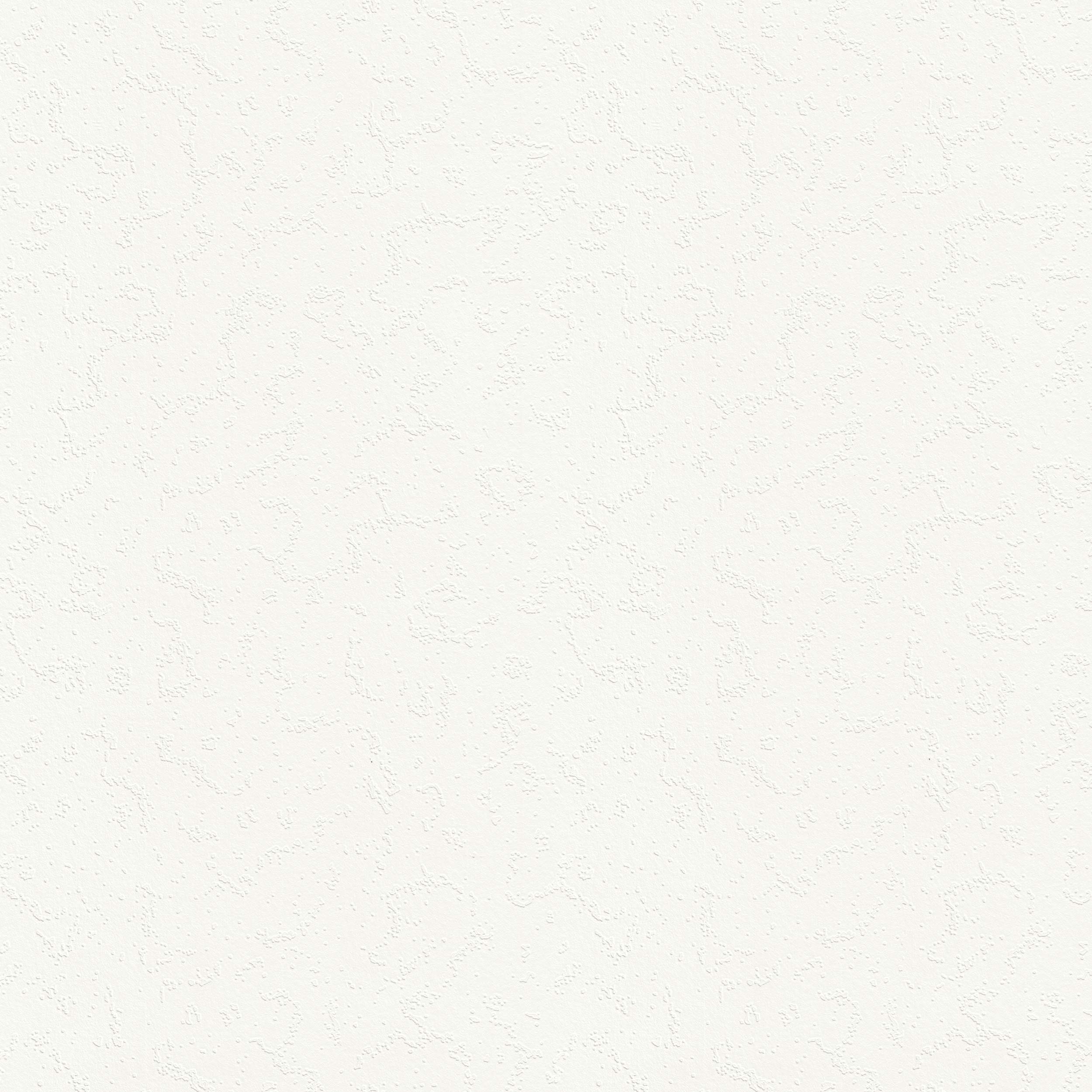 PAG 25