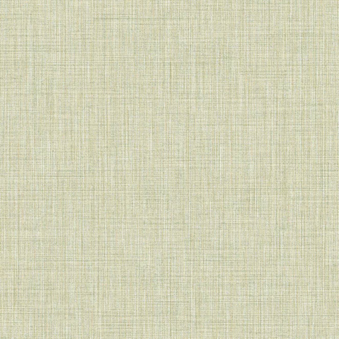 Papel pintado liso texturizadol Amazzonia 22085
